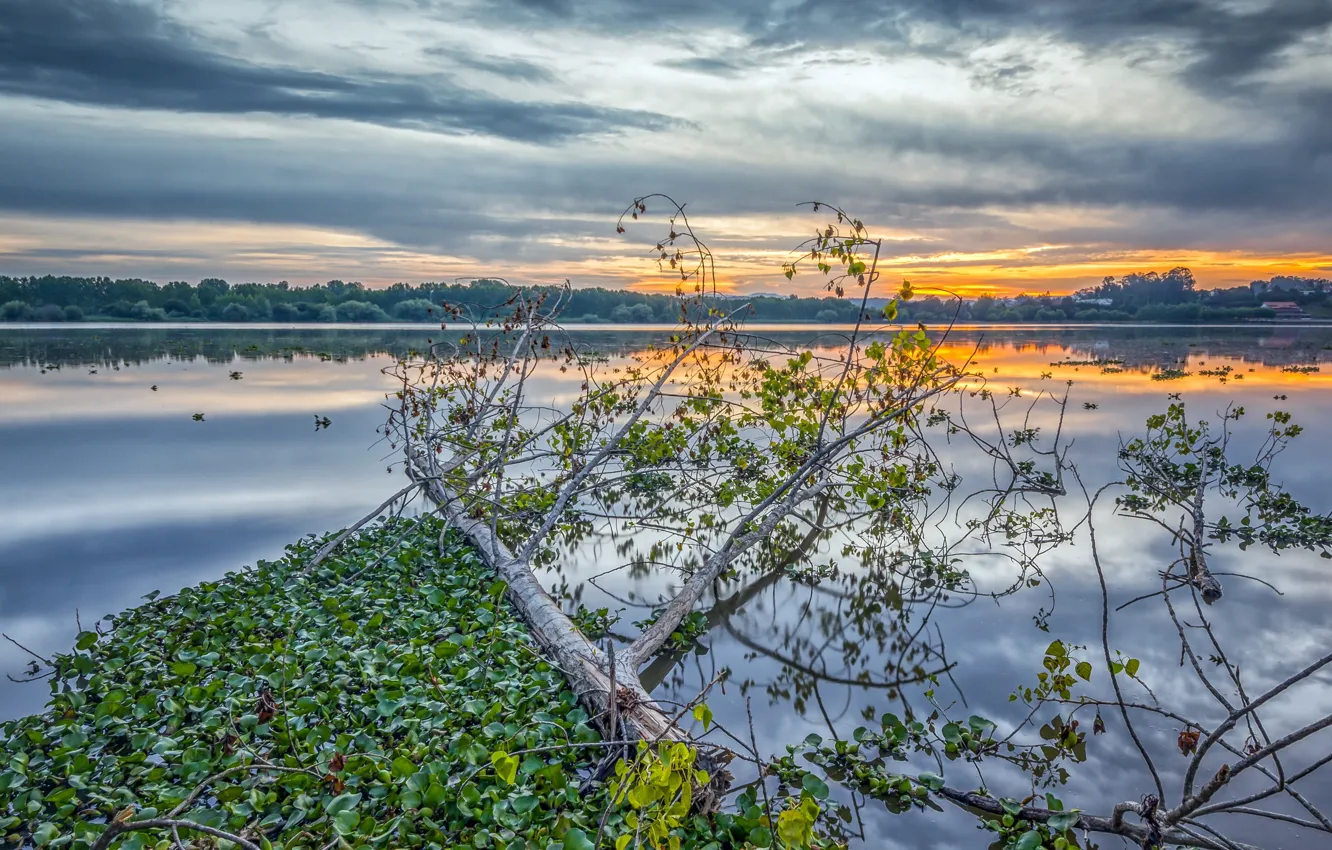 Photo wallpaper sunset, nature, lake