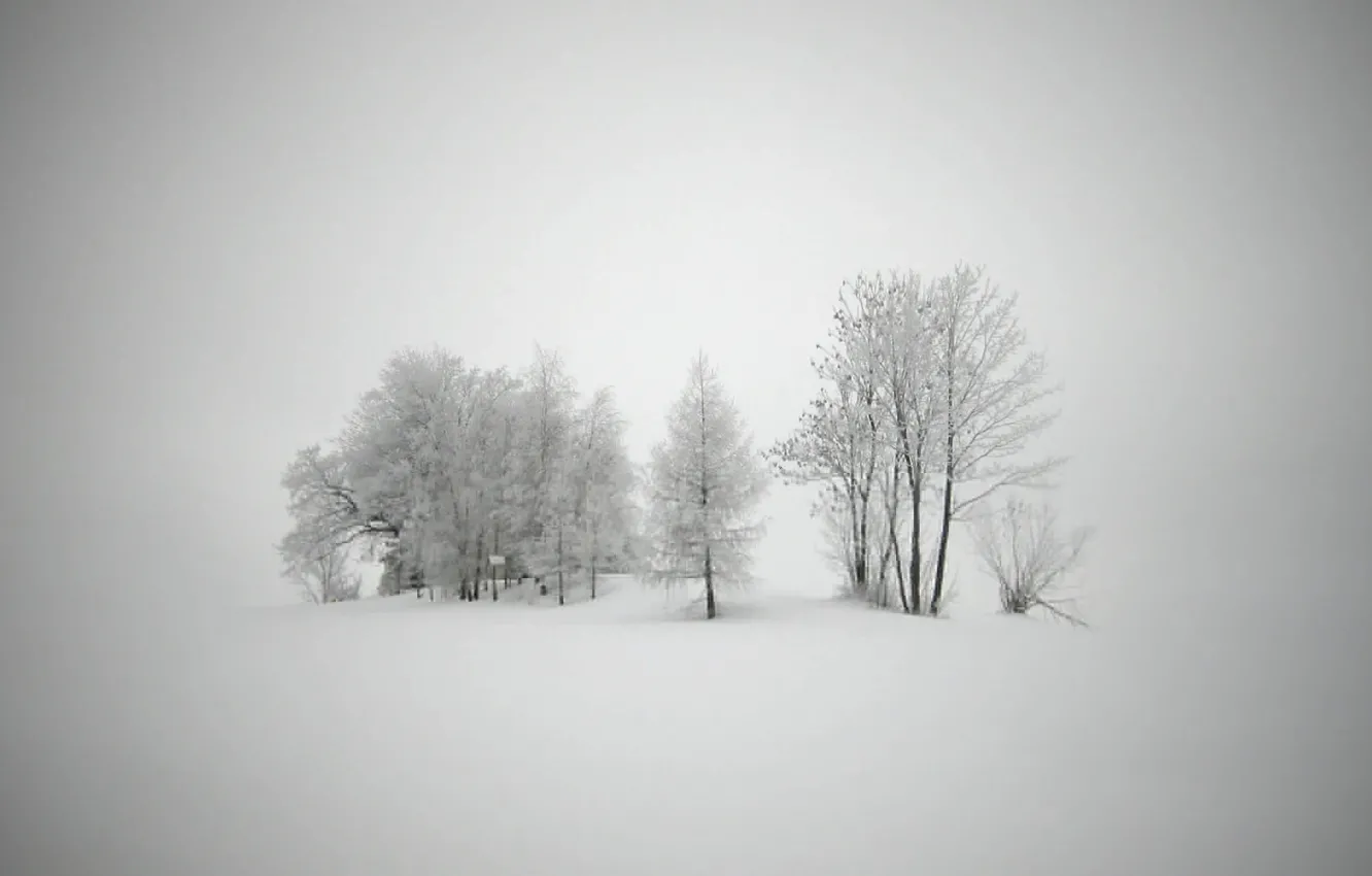 Photo wallpaper cold, winter, snow, trees, landscape, new year, frost, Blizzard