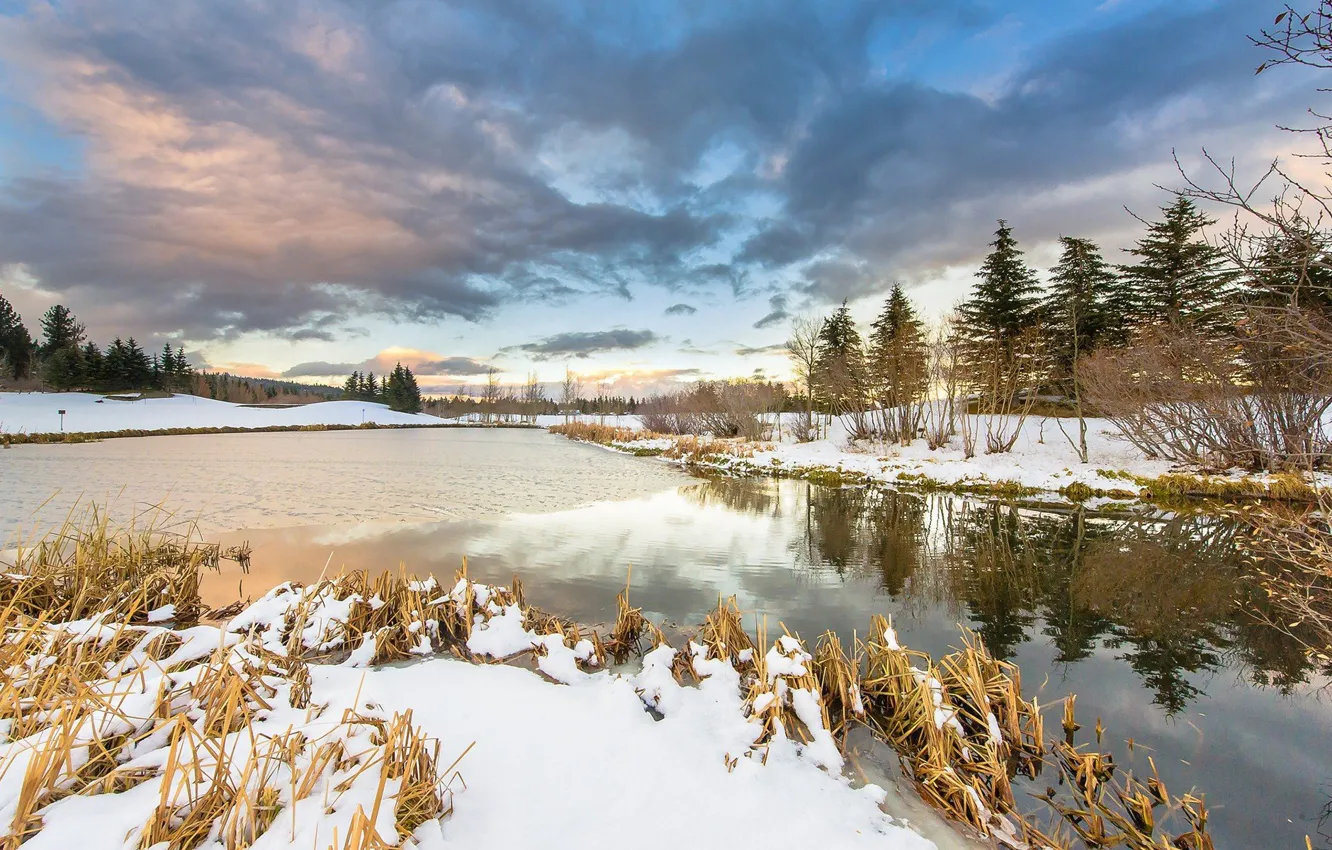 Photo wallpaper winter, the sky, grass, river, photo