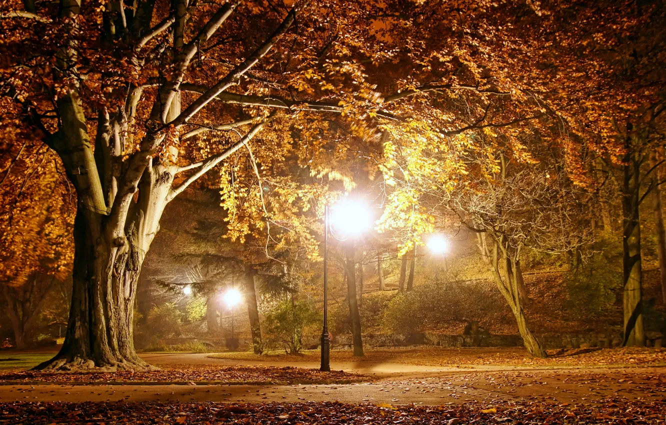 Photo wallpaper autumn, landscape, lights, Park, the evening, night, park, autumn