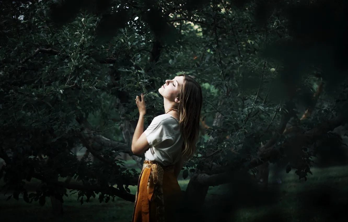 Photo wallpaper girl, trees, background, the evening