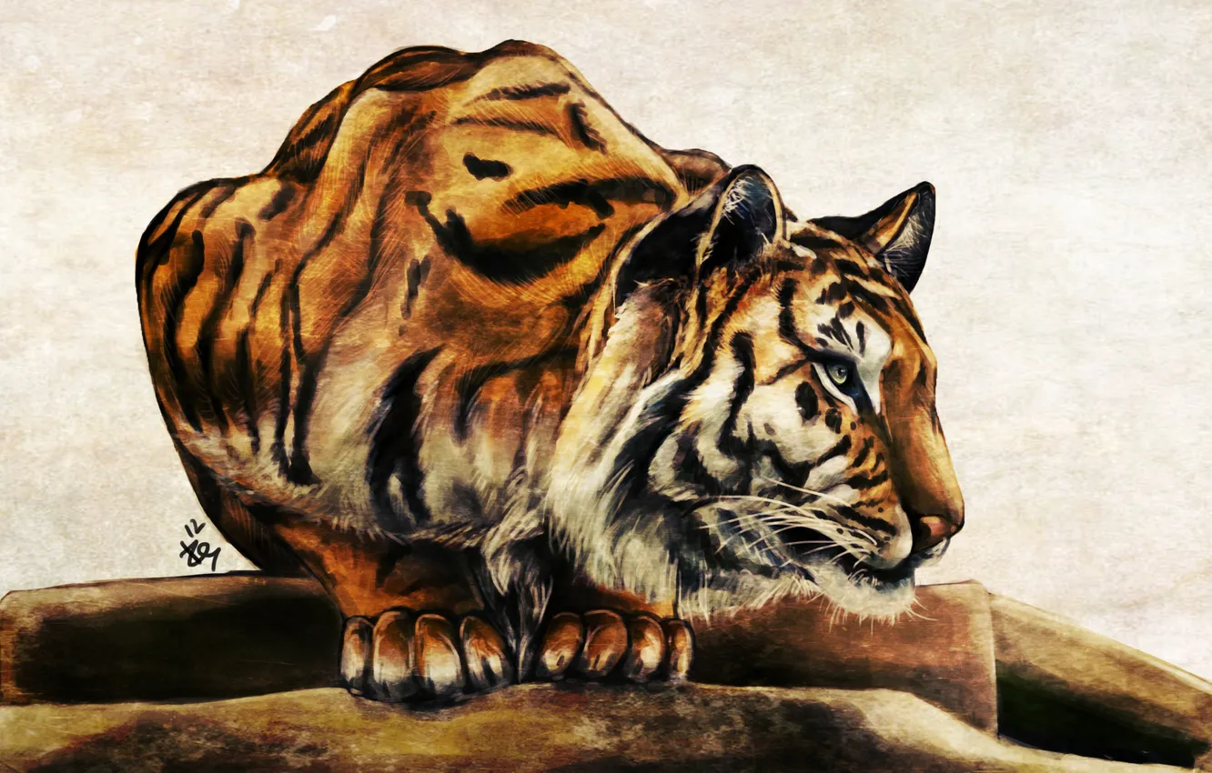Photo wallpaper mustache, tiger, animal, predator, paws, art, color, ears
