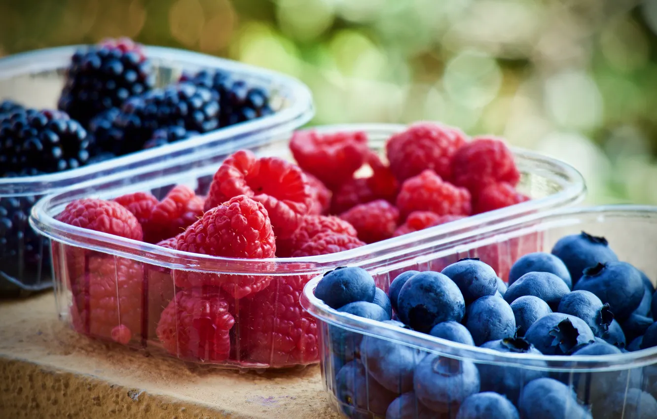 Photo wallpaper berries, raspberry, food, harvest, blueberries, container, a lot, BlackBerry