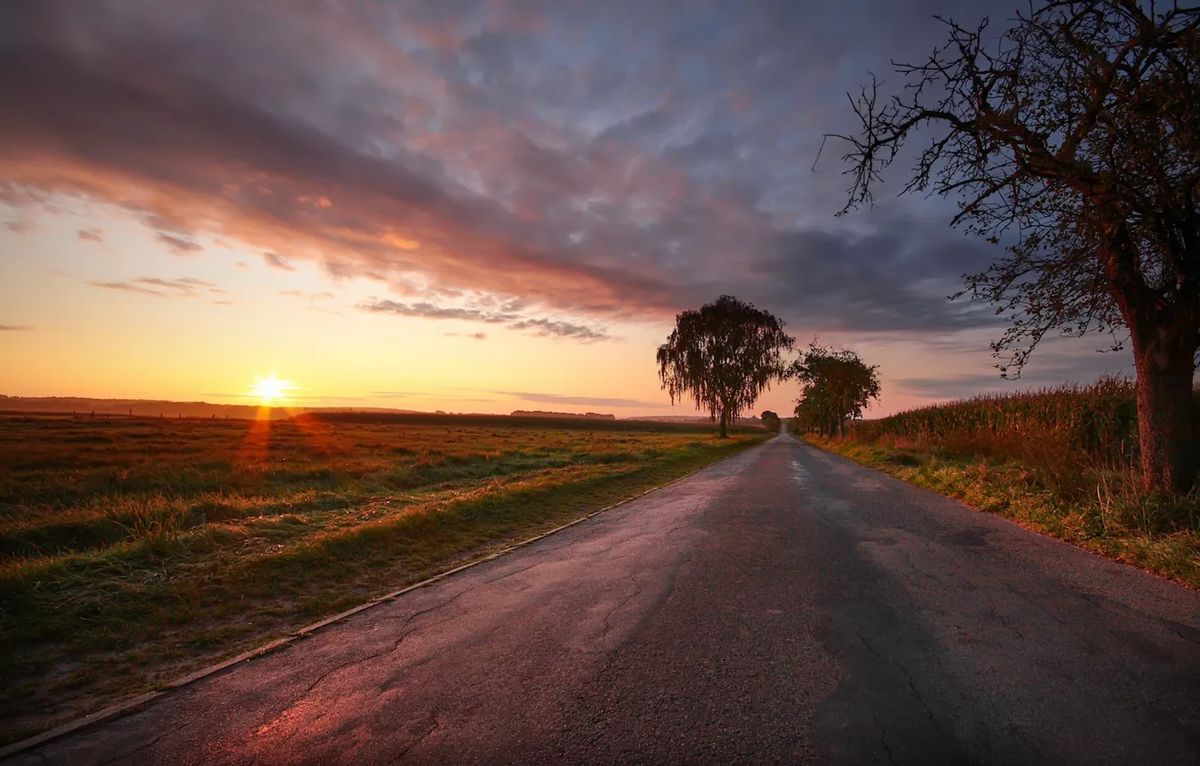 Photo wallpaper road, field, sunset