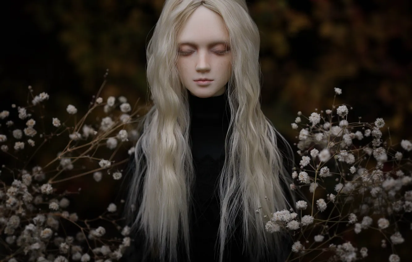 Photo wallpaper girl, hair, doll, blonde