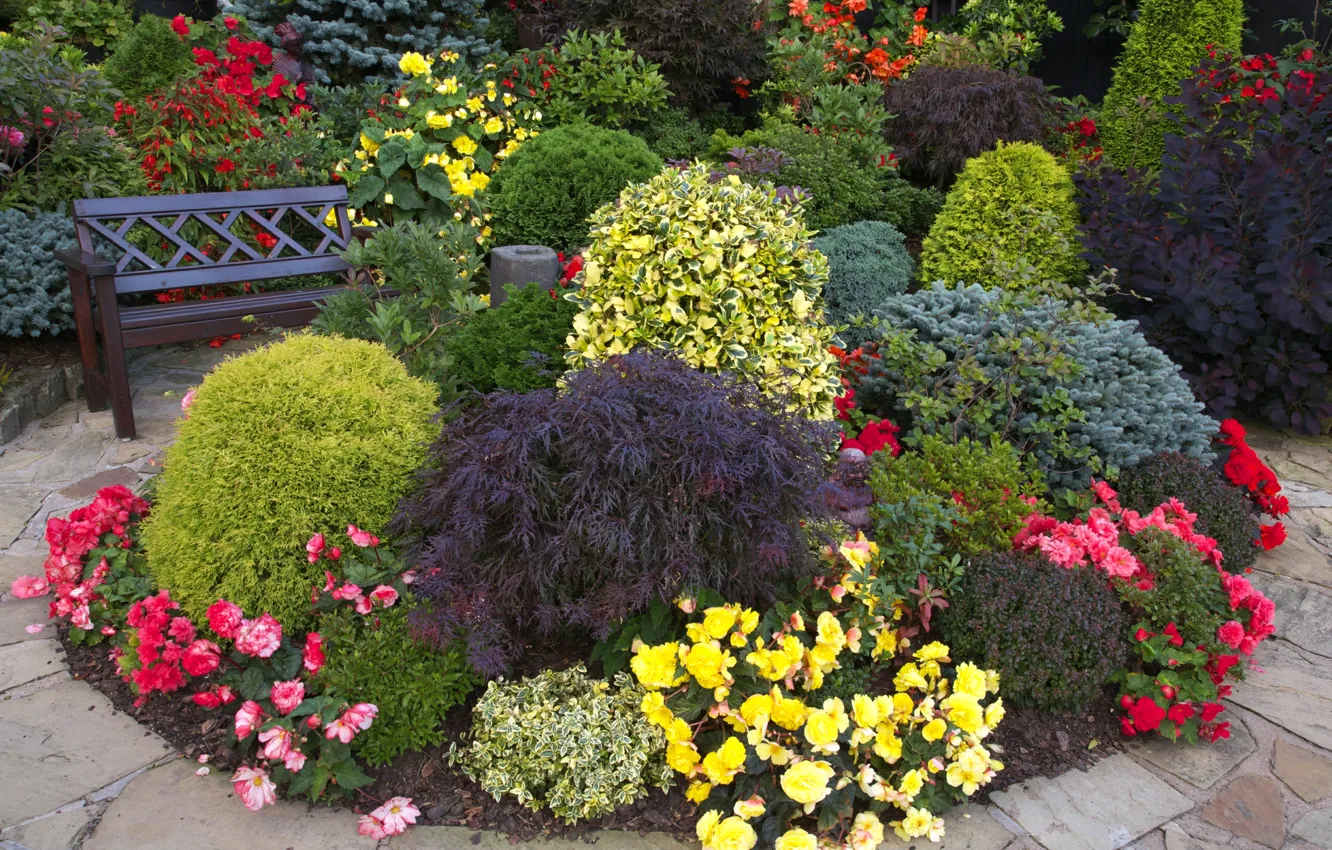 Photo wallpaper flowers, bench, garden, track, flowerbed, colorful, the bushes, begonias