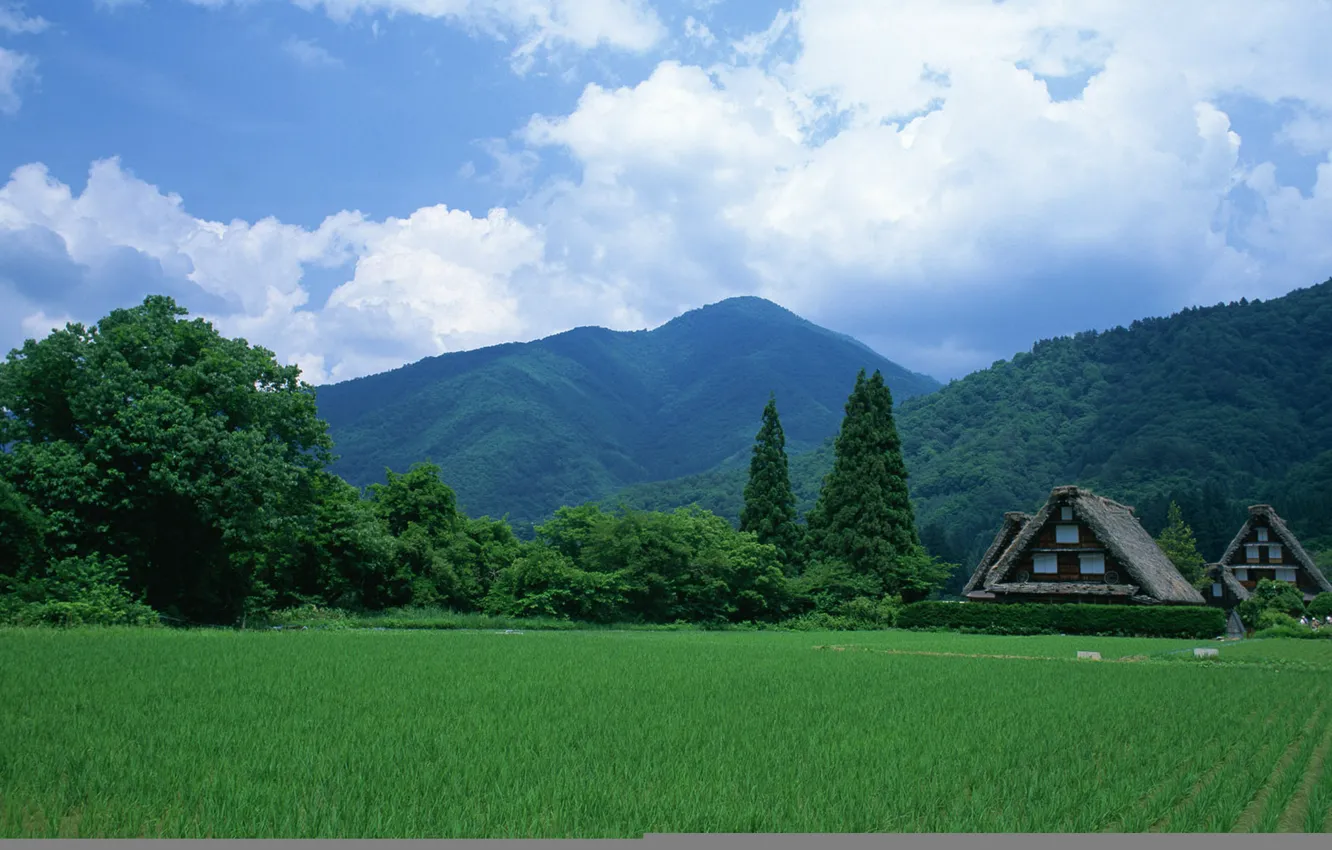 Photo wallpaper city, wallpaper, Town