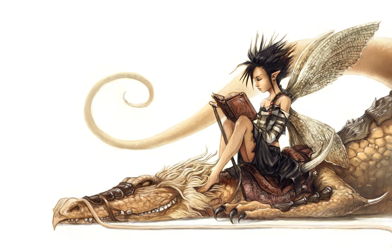 Photo wallpaper dragon, elf, fairy, art, white background, book, ears, lying