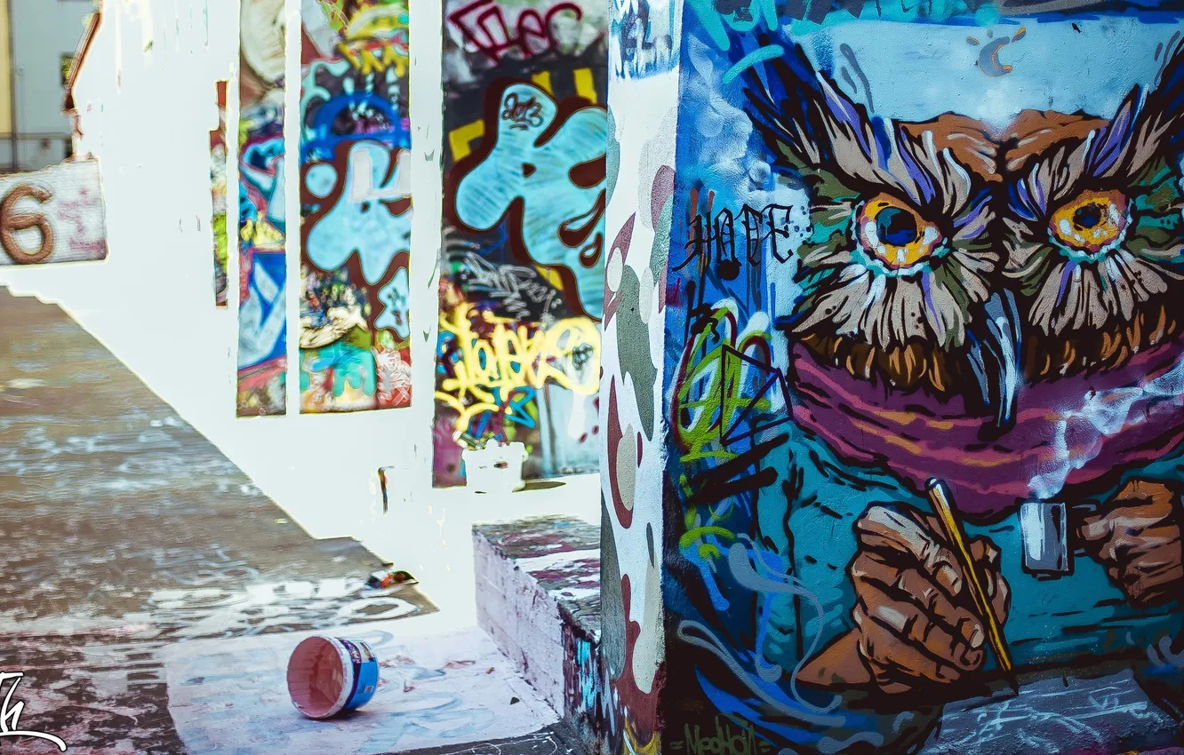 Photo wallpaper roof, owl, graffiti, Vladimir Smith, Vladimir Smith