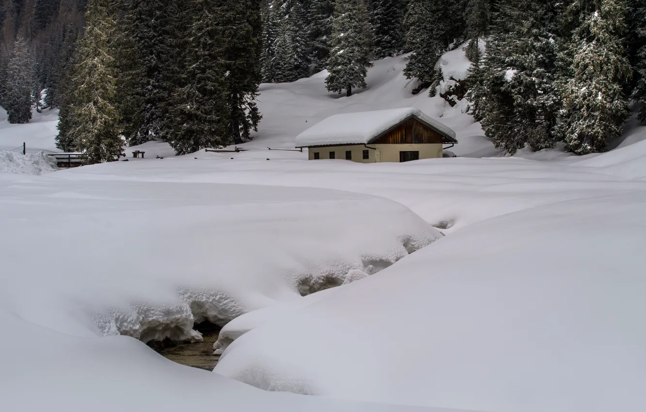 Photo wallpaper winter, forest, the snow, house
