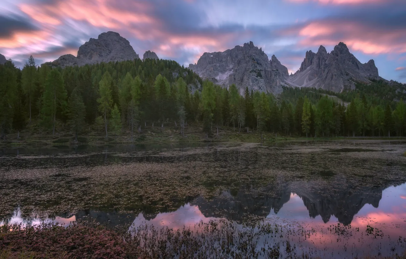 Photo wallpaper forest, the sky, clouds, mountains, lake, reflection, rocks, shore