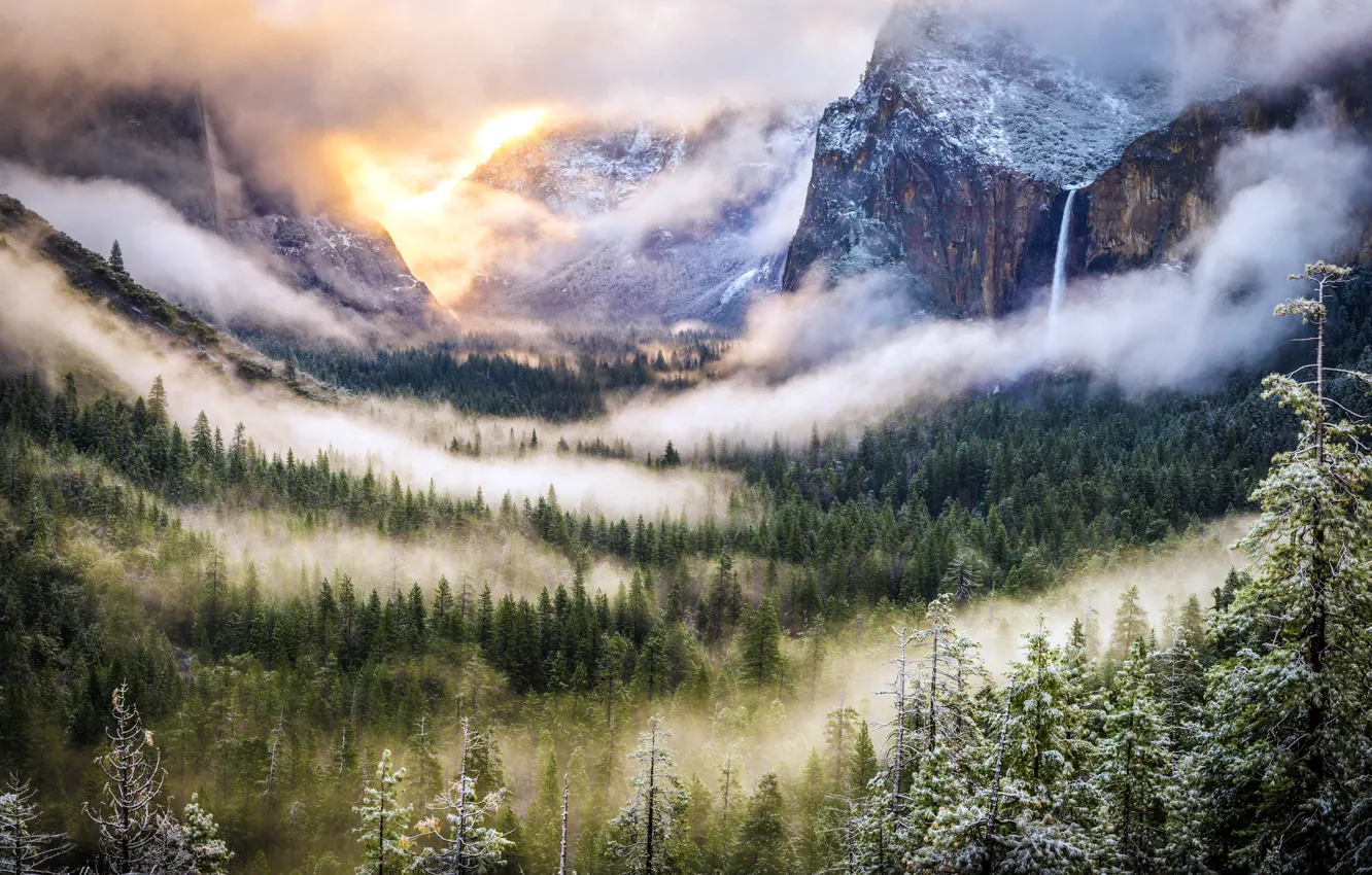 Photo wallpaper forest, landscape, mountains, nature, fog