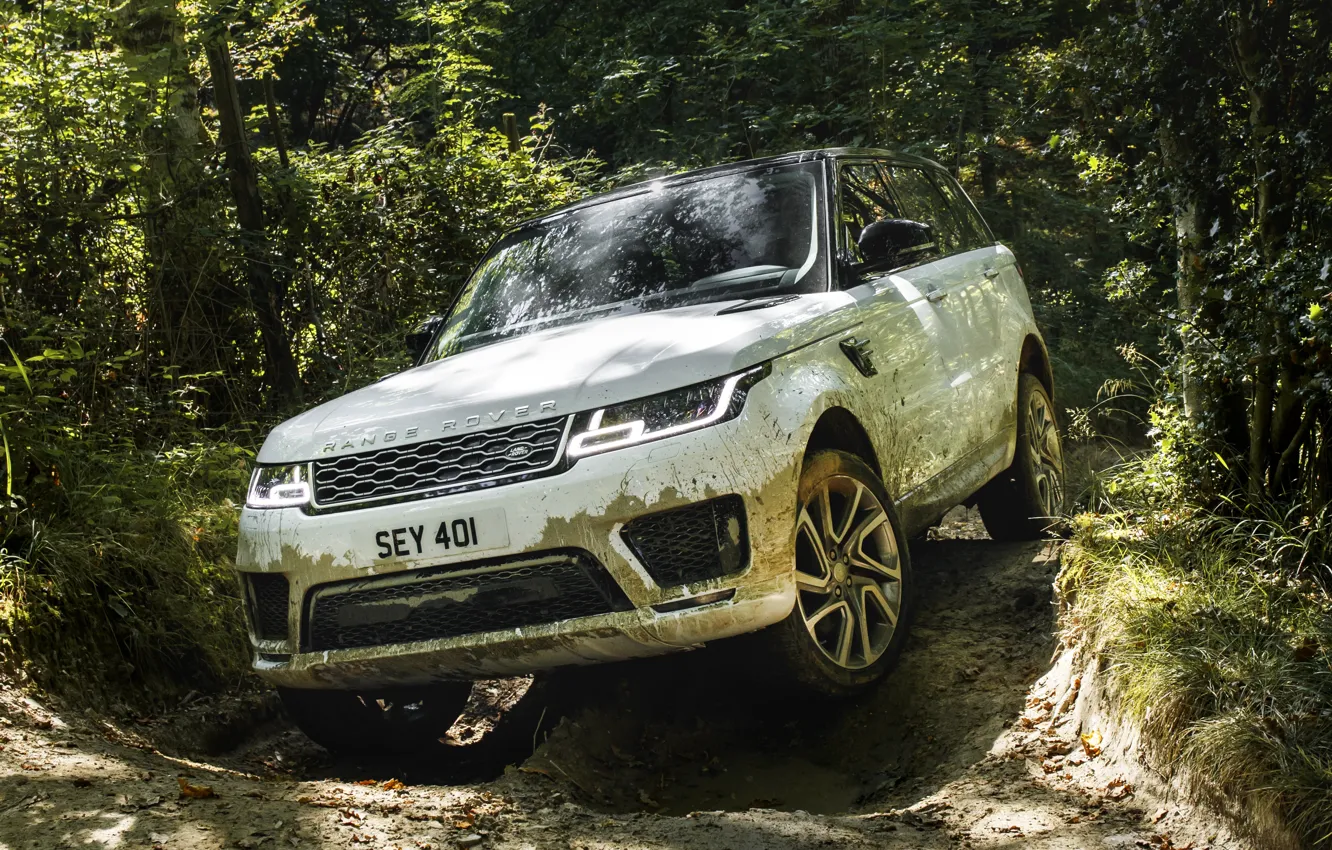 Photo wallpaper road, forest, grass, trees, puddle, dirt, track, Land Rover