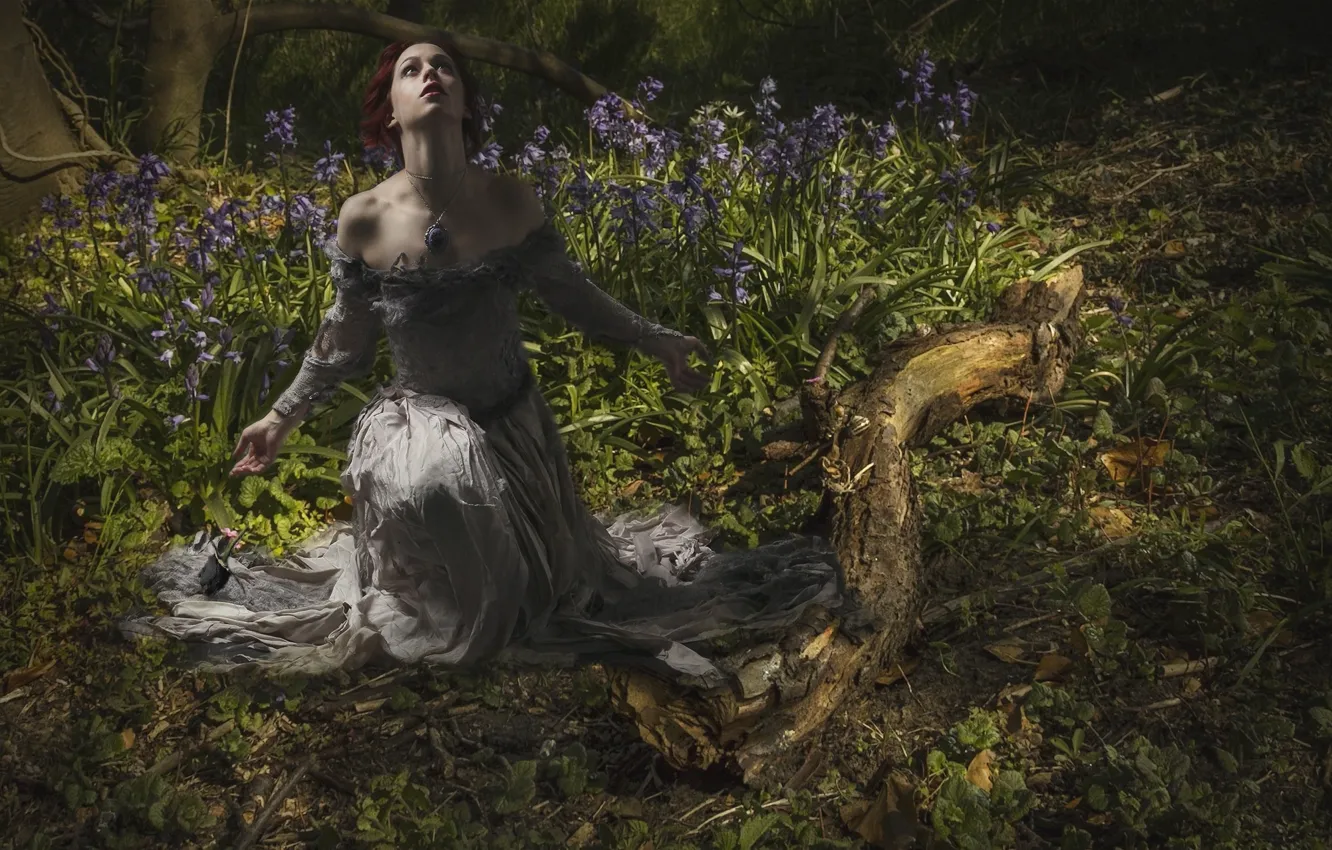 Photo wallpaper forest, girl, flowers, log