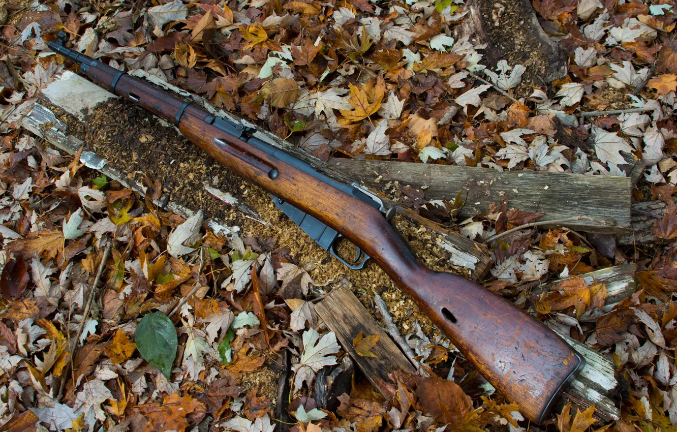 Photo wallpaper rifle, Mosin, store, M44