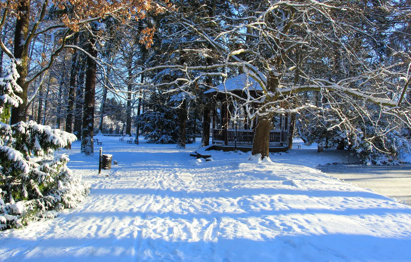 Photo wallpaper park, winter, snow, alley