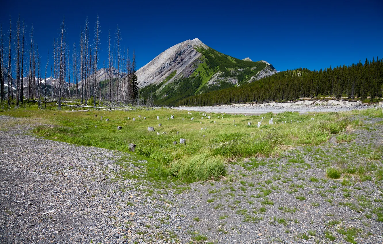 Photo wallpaper the sky, grass, landscape, mountains, nature