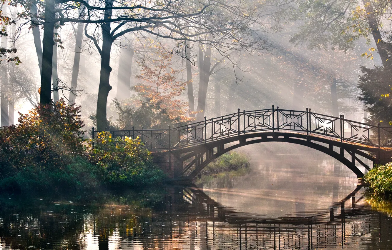 Photo wallpaper rays, trees, nature, Park, romance, river, the bridge, the bushes