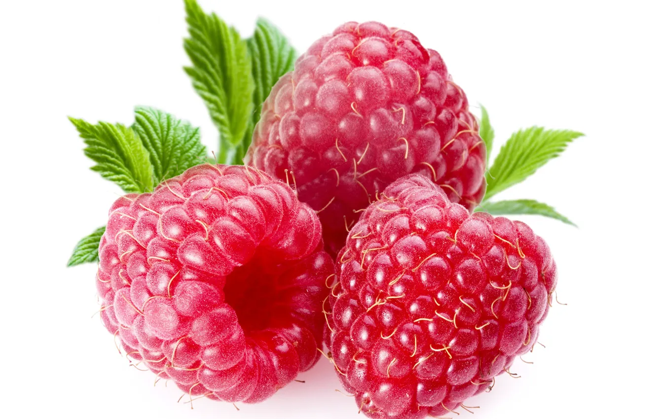 Photo wallpaper berries, raspberry, raspberry