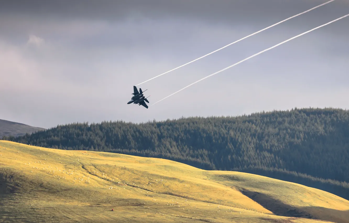 Photo wallpaper field, the sky, the plane