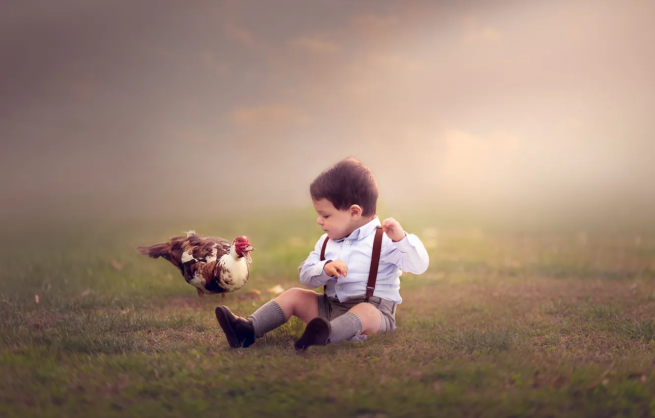 Photo wallpaper mood, bird, boy