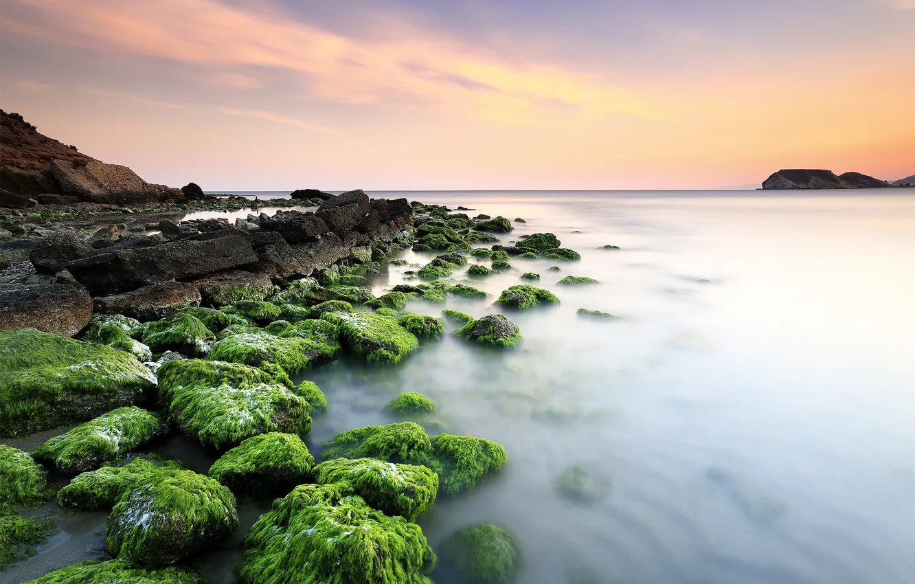 Photo wallpaper sea, the sky, algae, stones, rocks