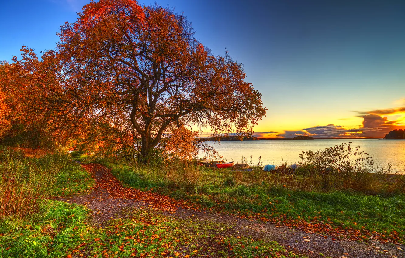 Photo wallpaper autumn, the sky, grass, leaves, clouds, trees, landscape, sunset