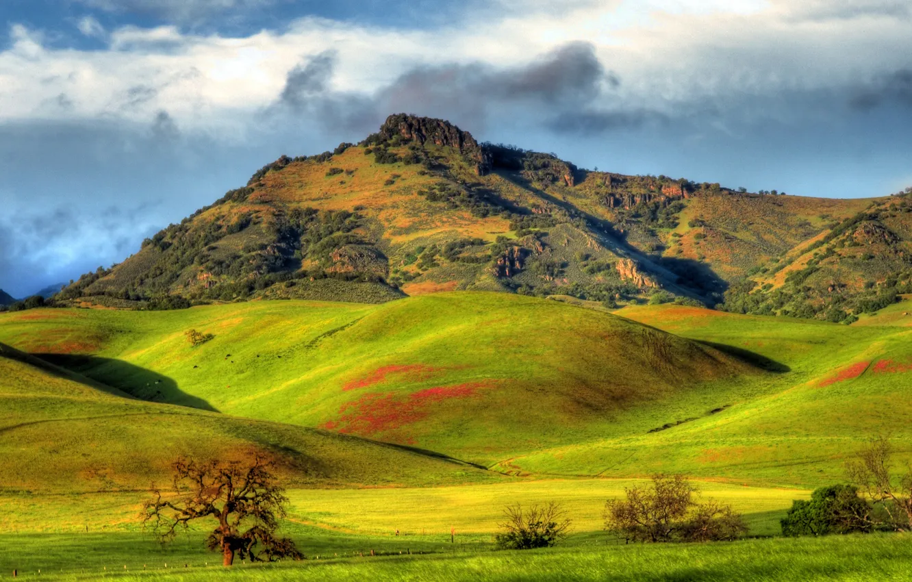 Photo wallpaper greens, the sun, clouds, mountains, hills, field, CA, USA