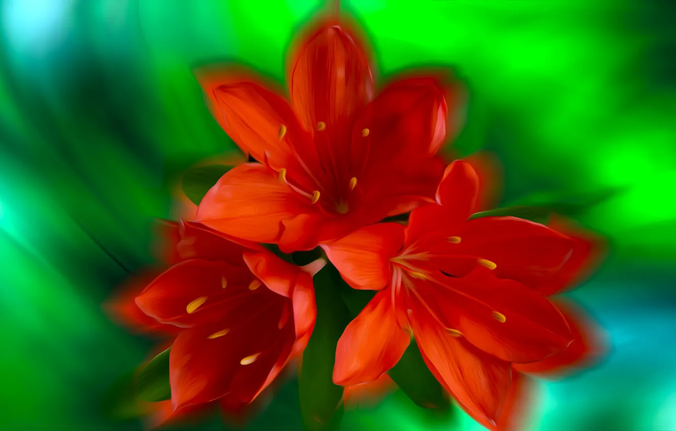 Photo wallpaper Graphics, Flowers, Red, Lilie