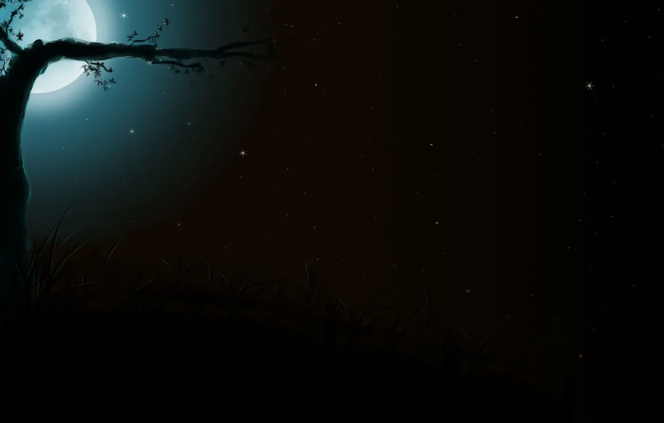Photo wallpaper grass, trees, night, the moon