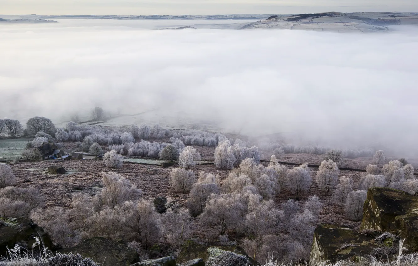 Photo wallpaper field, landscape, fog, valley