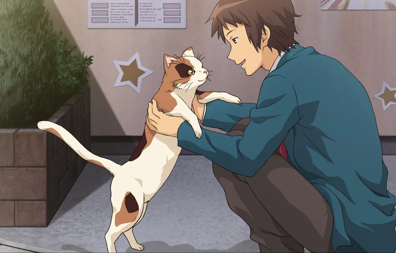 Photo wallpaper cat, guy, suzumiya haruhi no yuutsu