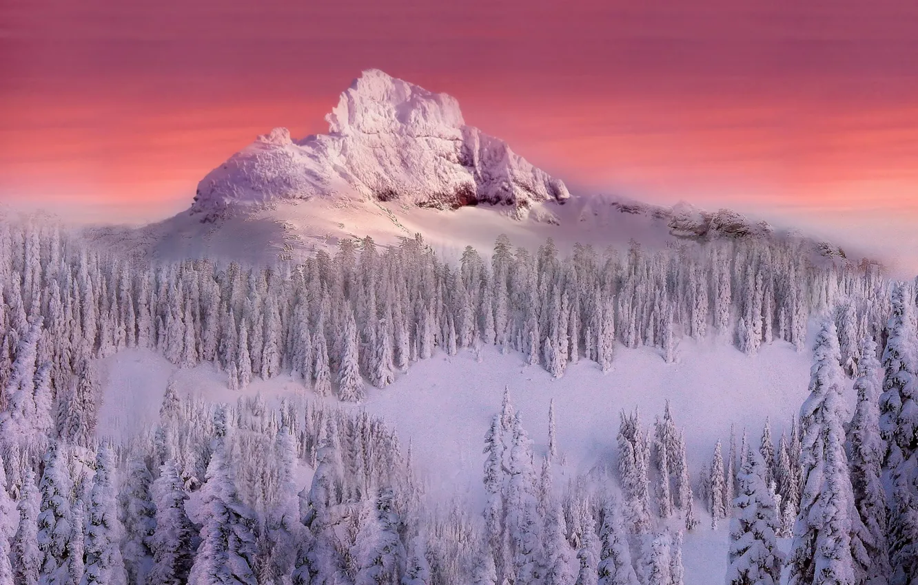 Photo wallpaper snow, trees, mountain, Winter