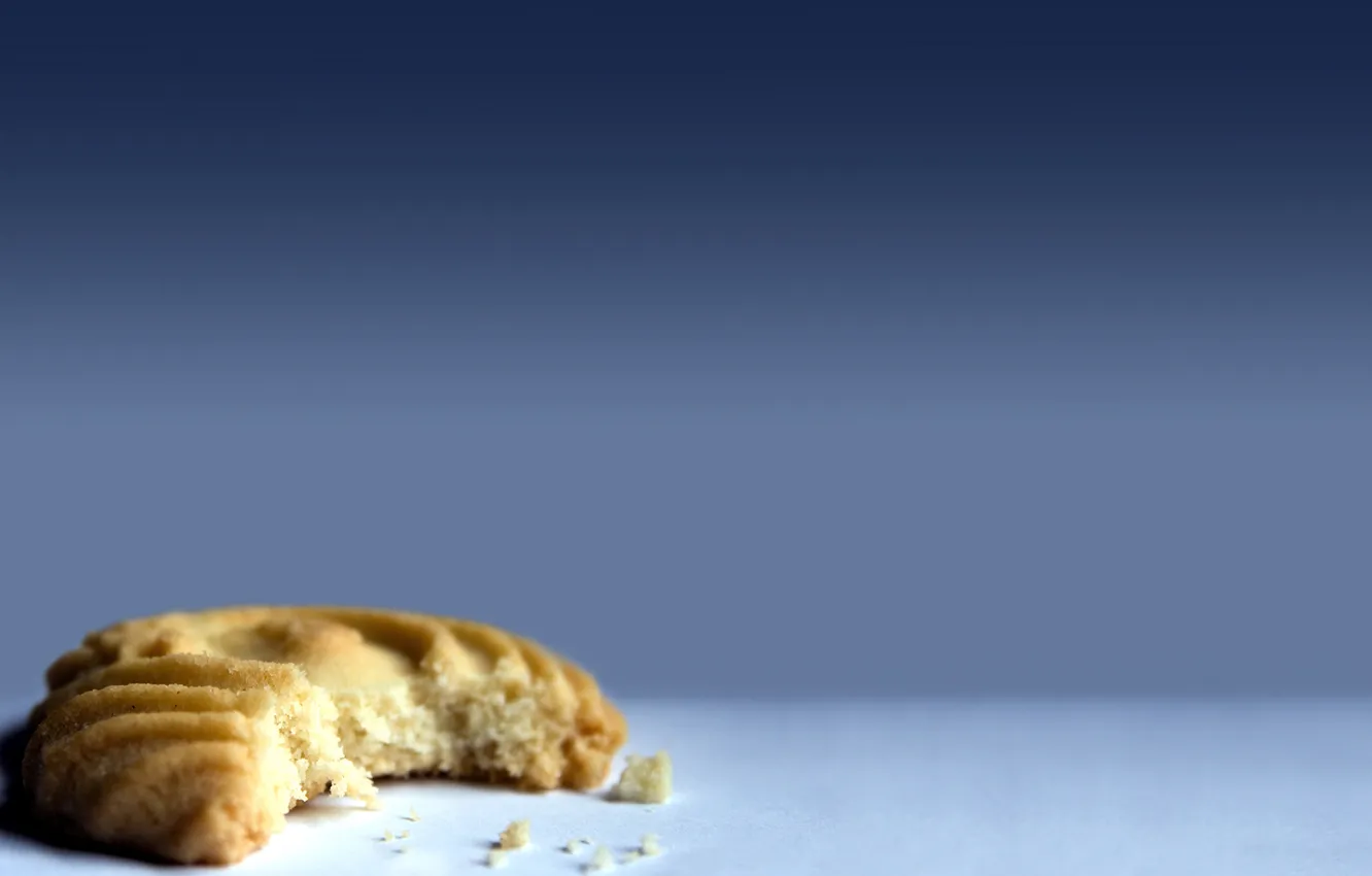 Photo wallpaper table, background, blue, minimalism, cookie