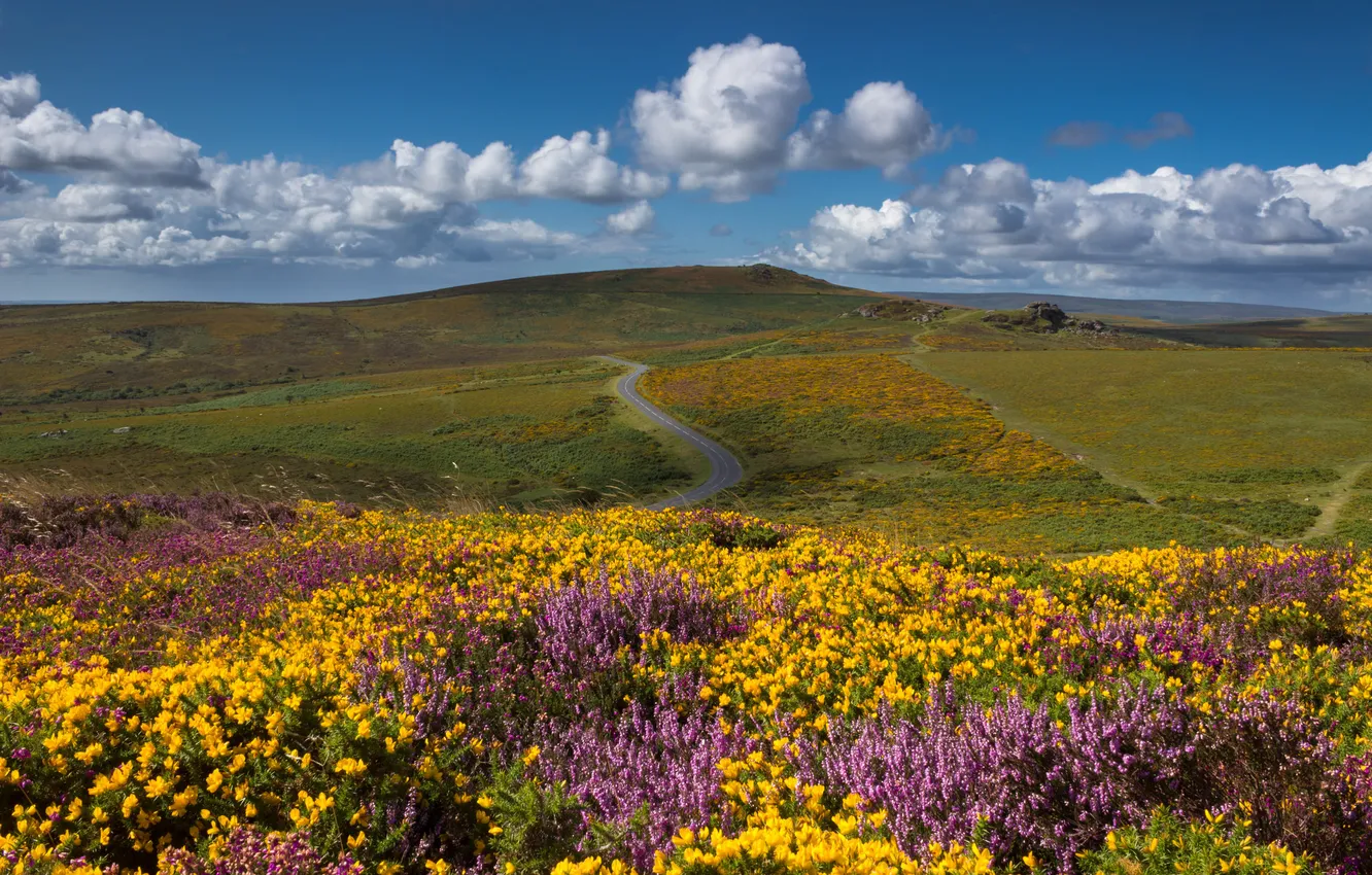 Photo wallpaper road, the sky, clouds, flowers, mountains