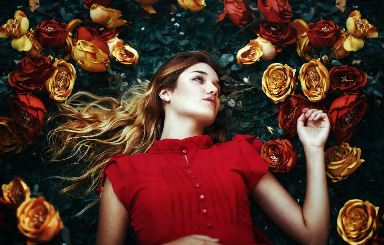 Photo wallpaper girl, flowers, pose, mood, roses, Fernanda Finsterbush