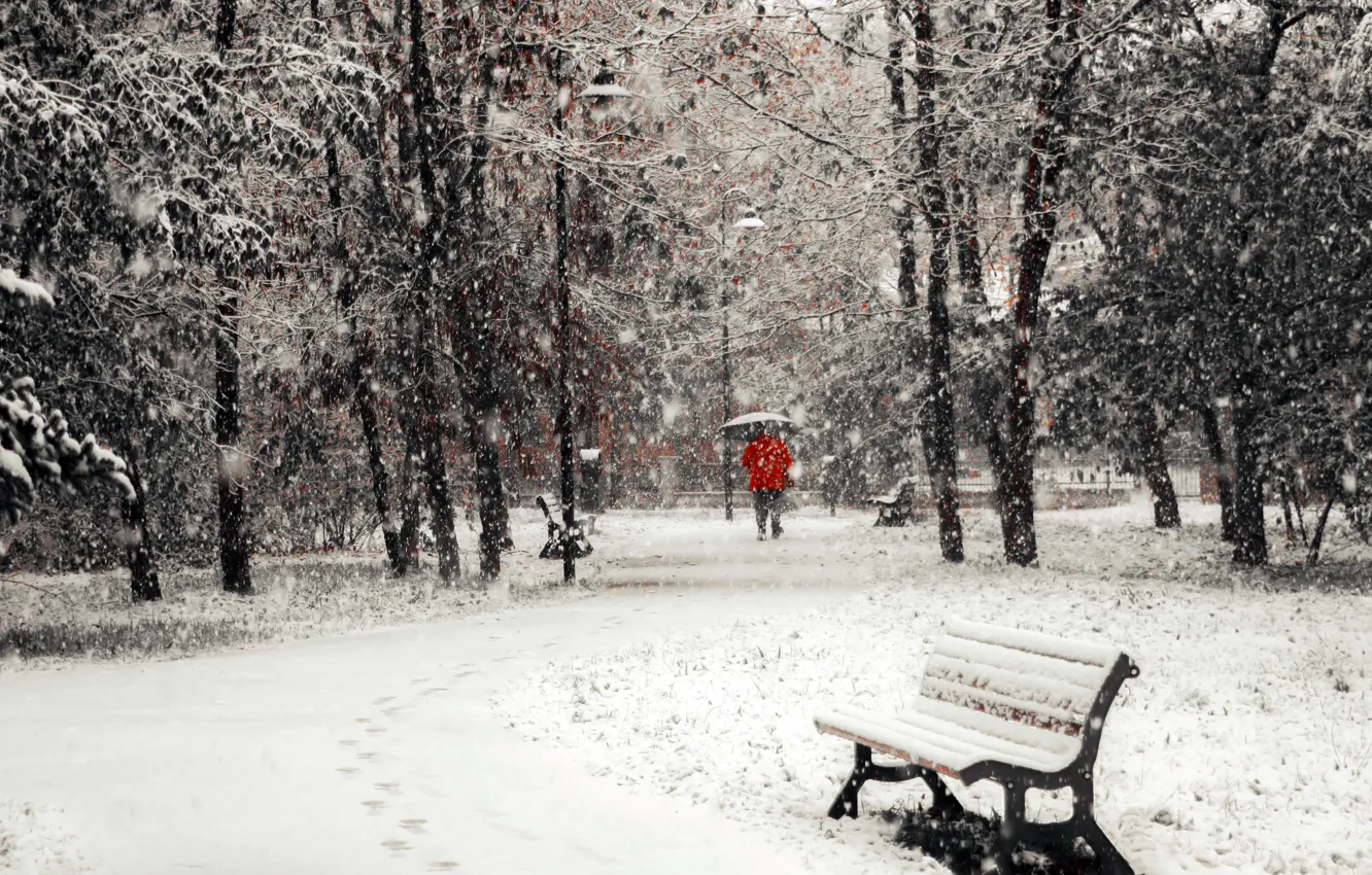 Photo wallpaper winter, snow, the city, bench