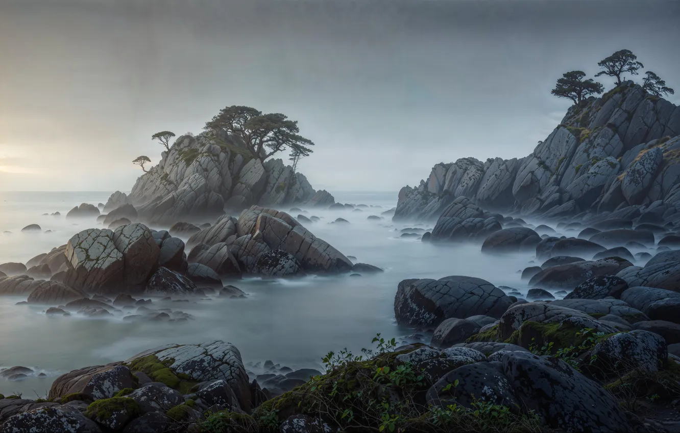 Photo wallpaper sea, stones, rocks, shore, pine