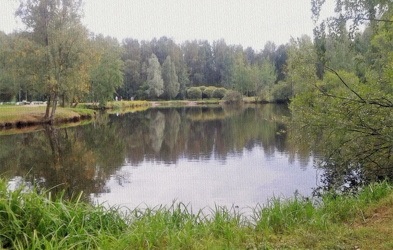 Photo wallpaper landscape, pond, the end of summer, beauty in nature