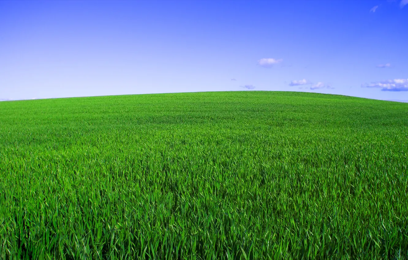 Photo wallpaper field, the sky, grass, green, horizon