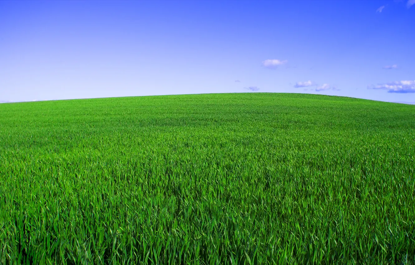 Photo wallpaper field, the sky, grass, horizon, green