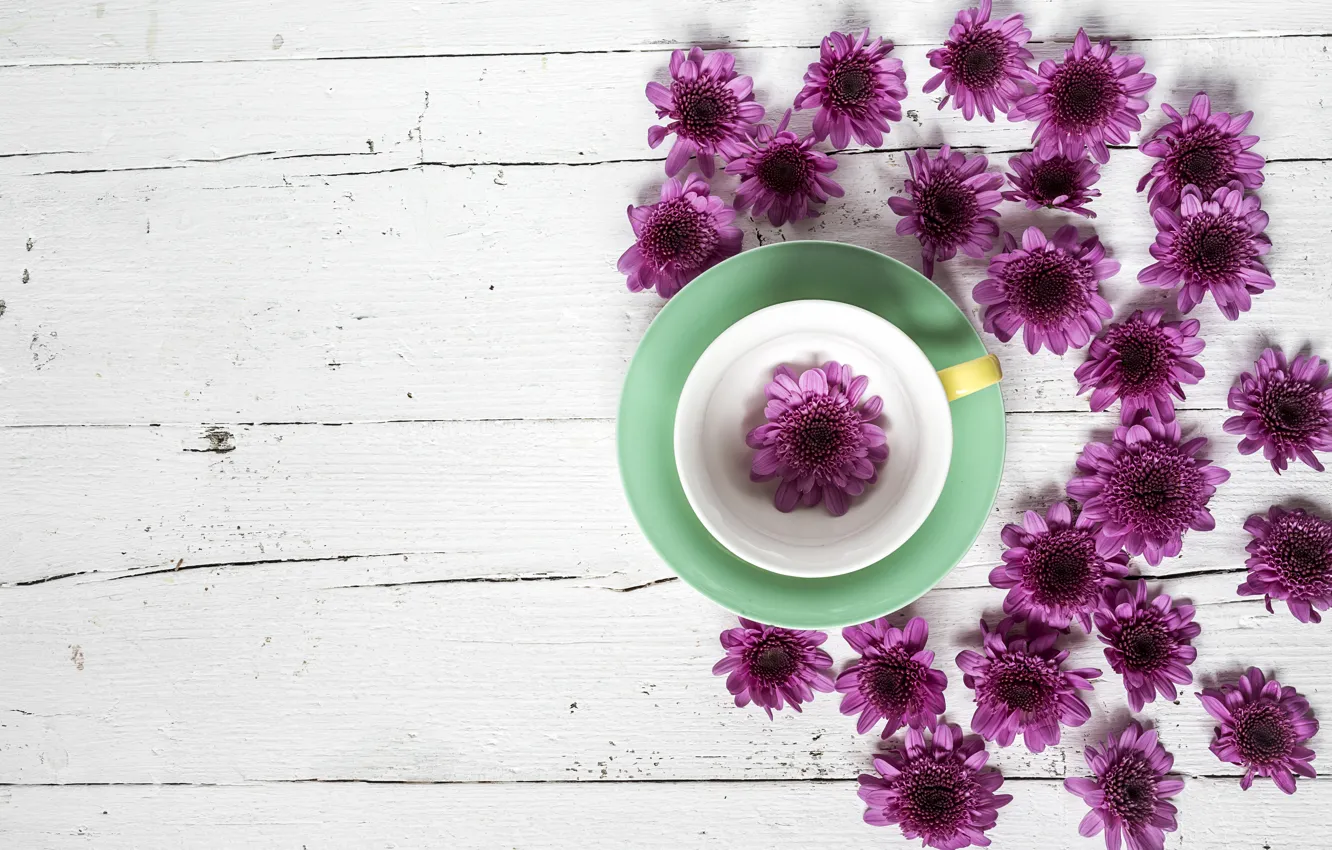 Photo wallpaper flowers, Cup, chrysanthemum, wood, flowers, cup, purple