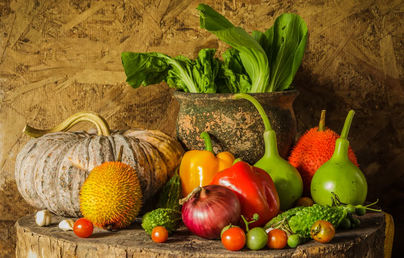 Wallpaper Harvest Pumpkin Fruit Still Life Vegetables Autumn