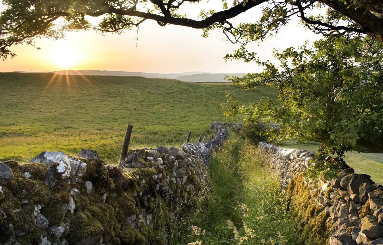 Photo wallpaper field, landscape, the fence, morning