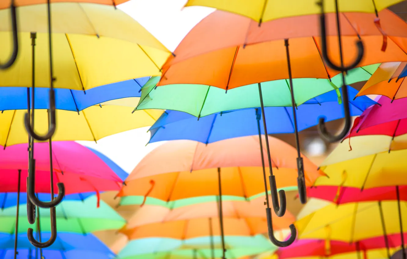 Photo wallpaper umbrella, paint, texture, umbrella