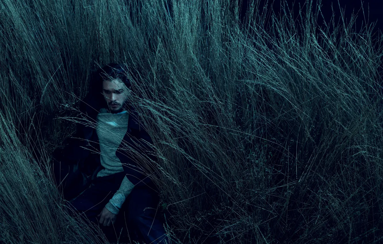 Photo wallpaper grass, actor, Kit Harington