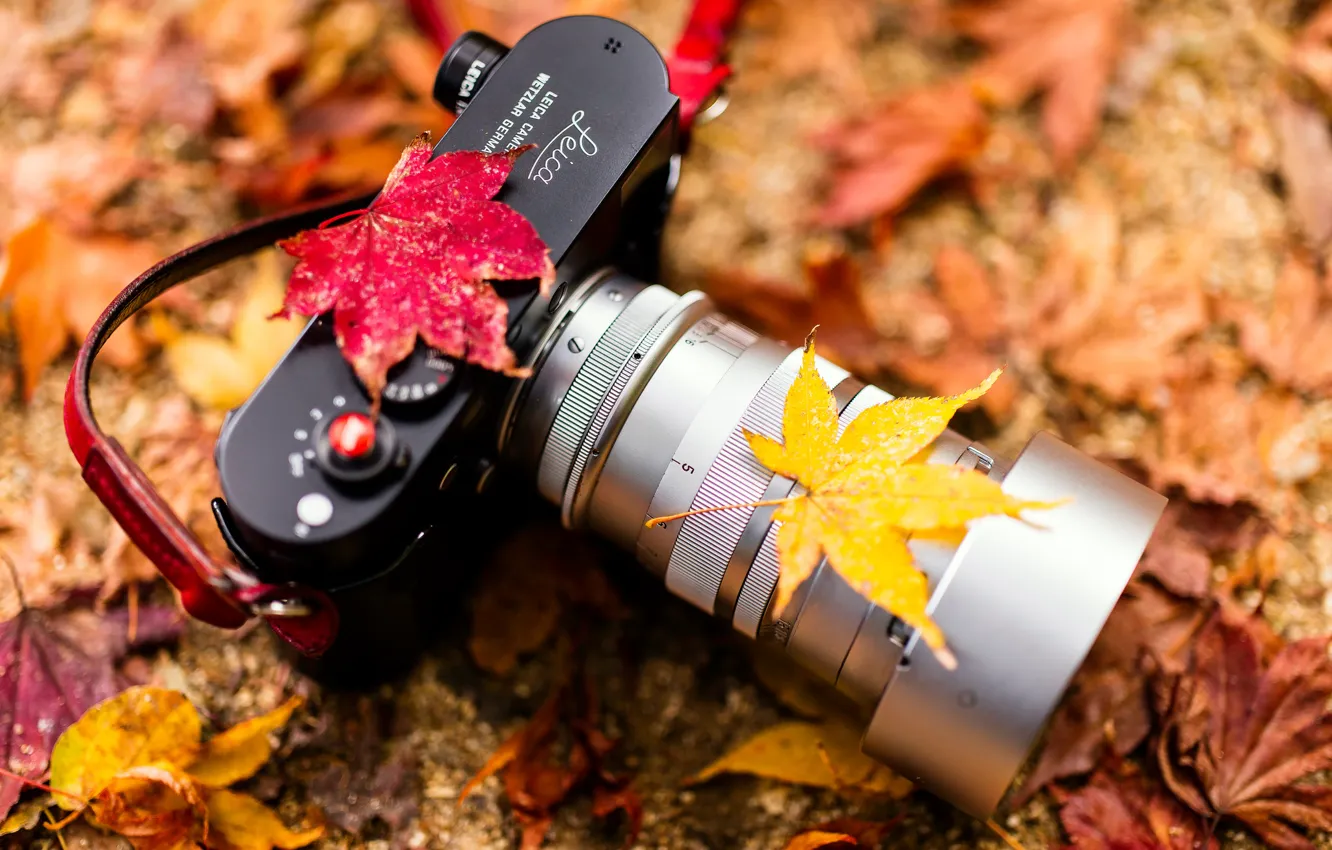 Photo wallpaper Camera, autumn colors, Leica