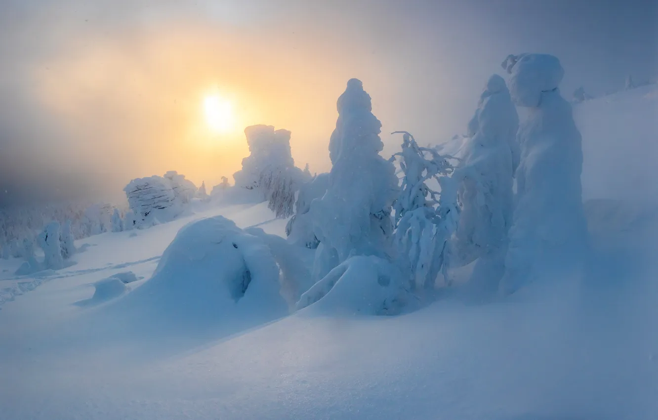 Photo wallpaper winter, the sun, snow, trees, the snow, Russia, Ural, Perm Krai