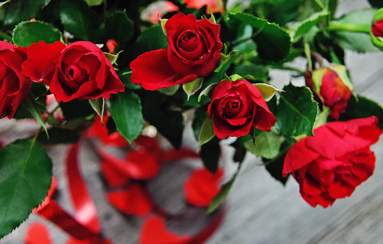 Photo wallpaper roses, bouquet, tape, red, vase, Valentine's day