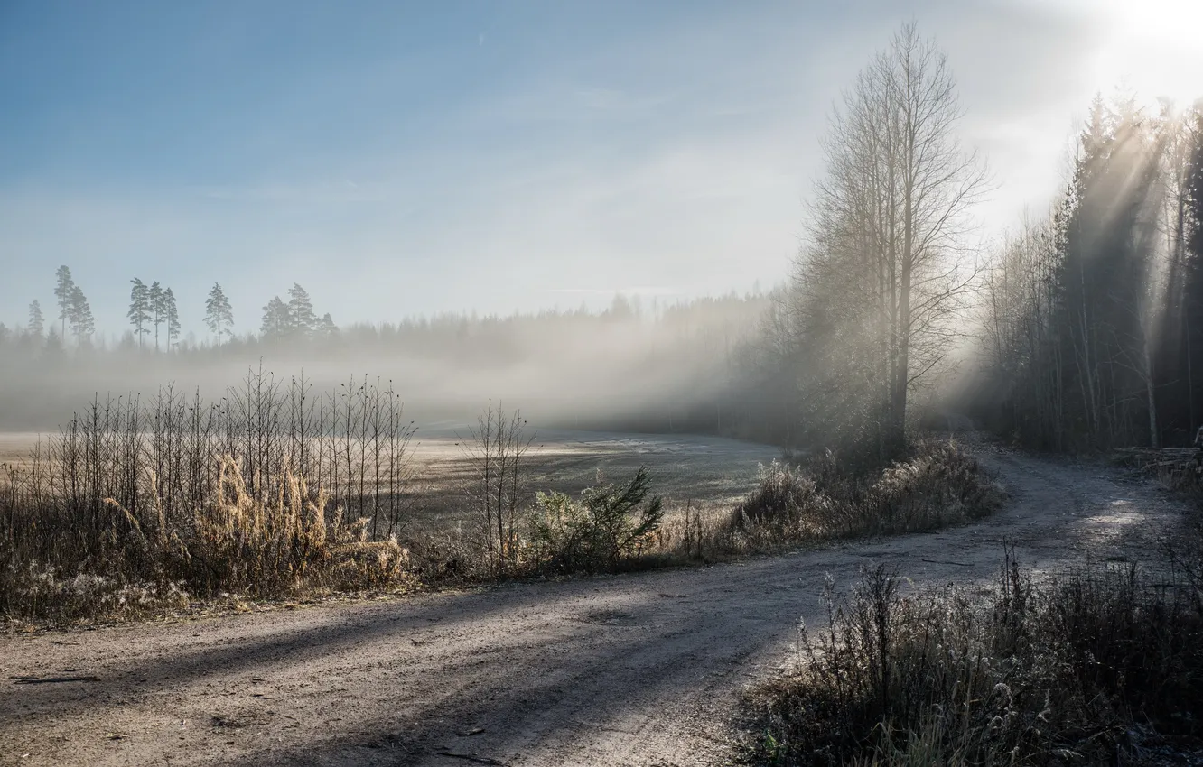 Photo wallpaper road, fog, morning